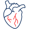NGS Panels Cardiovascular Icon
