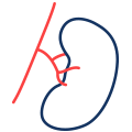 NGS Panels Nephrology Icon