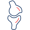 NGS Panel Osteology Icon